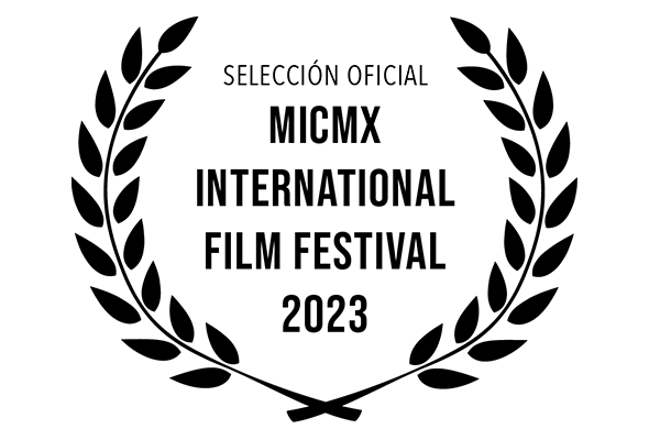Festival 20